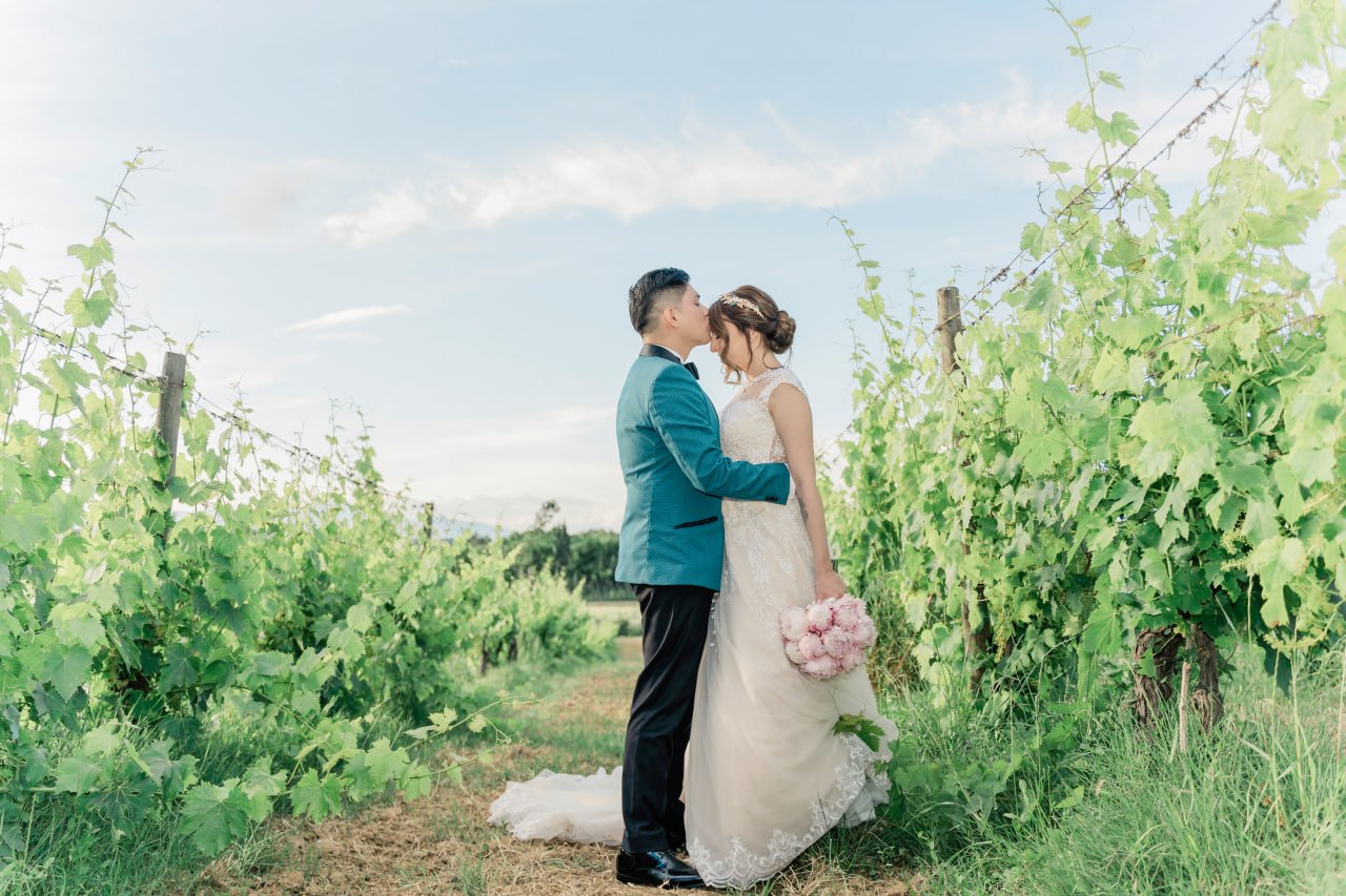 bride and groom in the vineyard